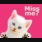 MISS ME