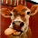 CUTE COW